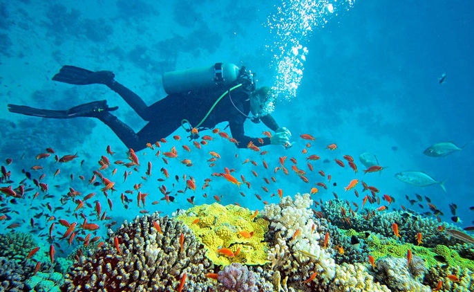 Scuba diving Andaman Islands