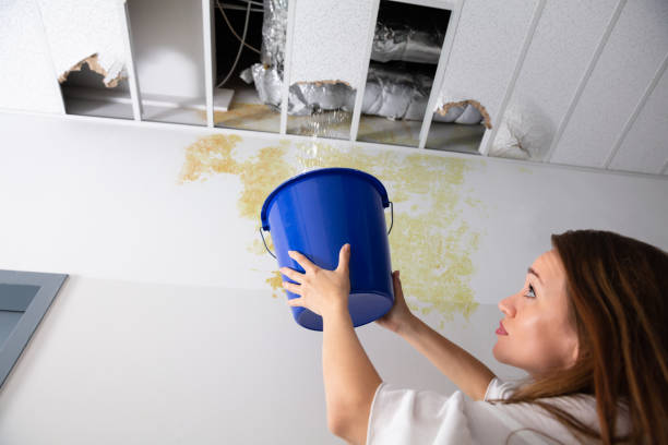 Woman Holding A Blue Bucket Under The Slab Leak Ceiling In Corridor